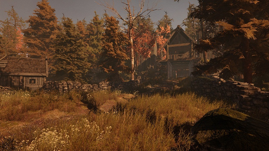 woods2