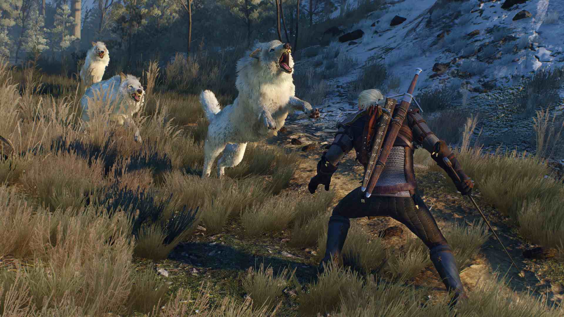 witcher3