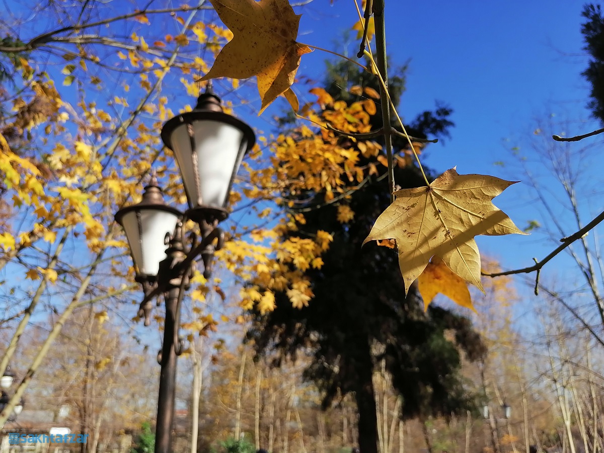 نمونه عکس گوشی آنر 9X