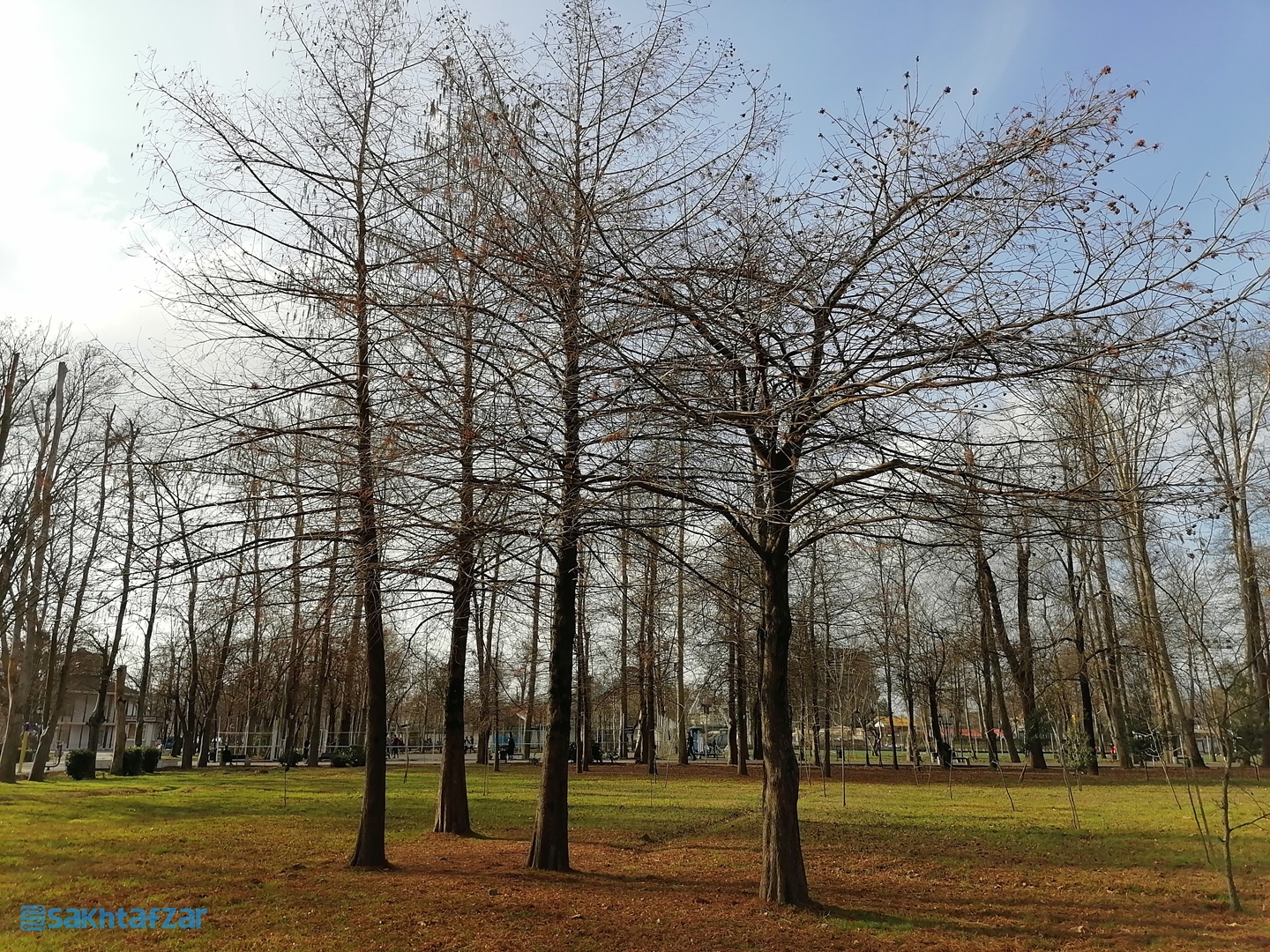 نمونه عکس گوشی آنر 9X